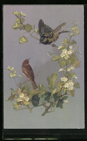 Imagen del vendedor de Knstler-Ansichtskarte Zwei Singvgel auf blhendem Zweig a la venta por Bartko-Reher