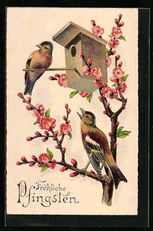 Imagen del vendedor de Knstler-Ansichtskarte Zwei Singvgel an einem Nistkasten in blhendem Baum - Pfingstgruss a la venta por Bartko-Reher