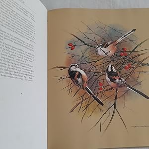 Seller image for LES OISEAUX DE NOS REGIONS for sale by Librairie RAIMOND