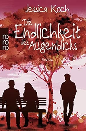 Seller image for Die Endlichkeit des Augenblicks: Roman for sale by Gabis Bcherlager