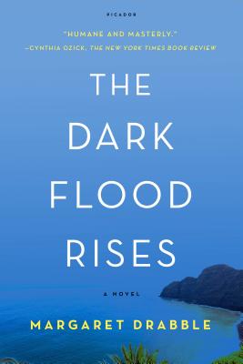 Bild des Verkufers fr The Dark Flood Rises (Paperback or Softback) zum Verkauf von BargainBookStores