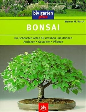 Bild des Verkufers fr Bonsai zum Verkauf von Gerald Wollermann