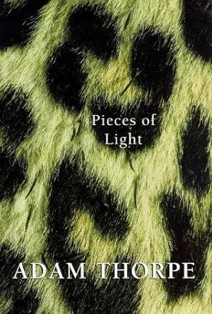 Seller image for Pieces Of Light for sale by WeBuyBooks