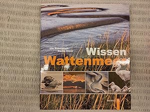 Seller image for Wissen Wattenmeer for sale by Genossenschaft Poete-Nscht