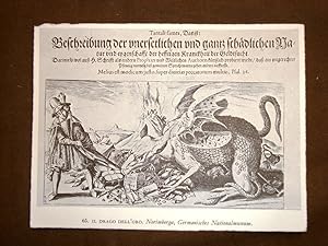 Immagine del venditore per Il drago dell'oro Norimberga Stampa popolare Germania venduto da LIBRERIA IL TEMPO CHE FU