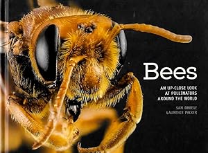 Bees: An Up-Close Look at Pollinators Around the World