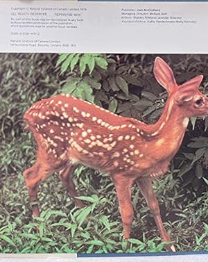 Seller image for The Illustrated Natural History of Canada THE NATURE OF MAMMALS for sale by WeBuyBooks