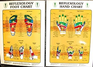 Imagen del vendedor de Hand & Foot Reflexology Chart Poster a la venta por Mad Hatter Bookstore