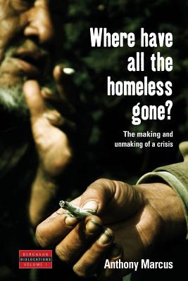 Seller image for Where Have All the Homeless Gone?: The Making and Unmaking of a Crisis (Paperback or Softback) for sale by BargainBookStores