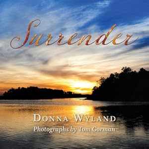 Image du vendeur pour Surrender (Paperback or Softback) mis en vente par BargainBookStores