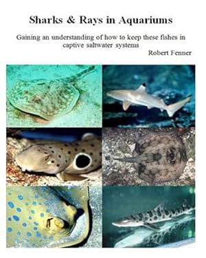 Seller image for Sharks & Rays in Aquariums : Gaining an Understanding of How to Keep These Fishes in Captive Saltwater Systems for sale by GreatBookPrices