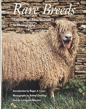 Seller image for Rare Breeds - Endangered Farm Animals in Photographs for sale by Dr.Bookman - Books Packaged in Cardboard