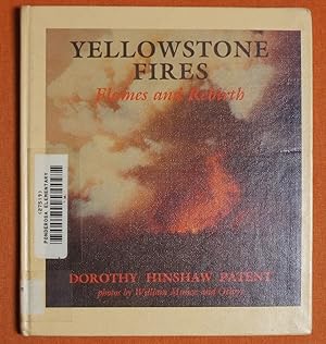 Seller image for Yellowstone Fires: Flames and Rebirth for sale by GuthrieBooks