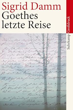 Seller image for Goethes letzte Reise (suhrkamp taschenbuch) for sale by Versandantiquariat Felix Mcke
