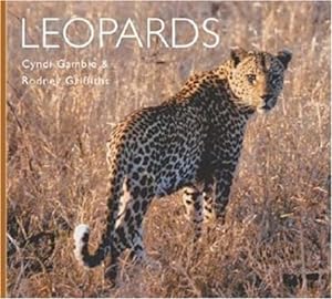 Bild des Verkufers fr Leopards zum Verkauf von buchlando-buchankauf
