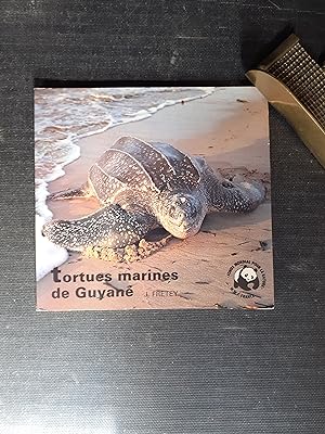 Tortues marines de Guyane