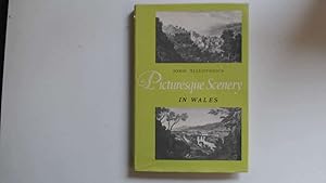 Imagen del vendedor de Picturesque Scenery in Wales a la venta por Goldstone Rare Books