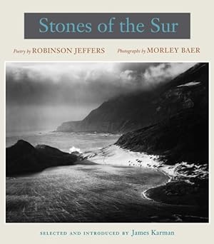 Imagen del vendedor de Stones of the Sur a la venta por GreatBookPrices