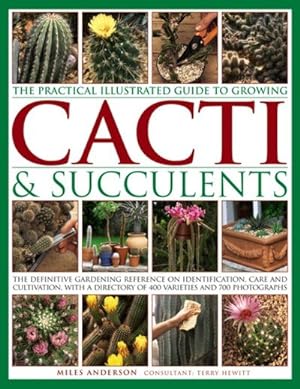 Seller image for Practical Illustrated Guide to Growing Cacti & Succulents : The Definitive Gardening Reference on Identification, Care and Cultivation, With a Directory of 400 Varieties and 700 Photographs for sale by GreatBookPrices