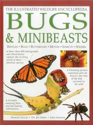 Seller image for Illustrated Wildlife Encyclopedia Bugs & Minibeasts for sale by GreatBookPrices