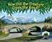 Seller image for How Did the Creature Cross the Road? (Wildlife Rescue) [Soft Cover ] for sale by booksXpress