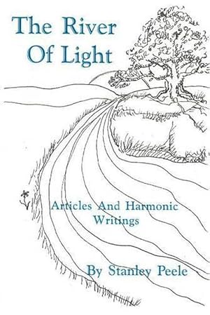 Image du vendeur pour River of Light (Paperback) mis en vente par CitiRetail