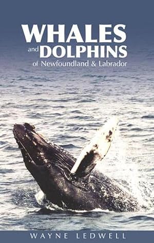 Seller image for Whales & Dolphins of Newfoundland & Labrador (Paperback) for sale by CitiRetail