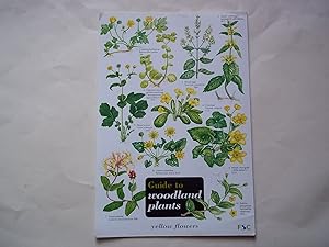 Seller image for Guide to Woodland Plants (Field Studies Council Occasional Publications S.) for sale by Carmarthenshire Rare Books