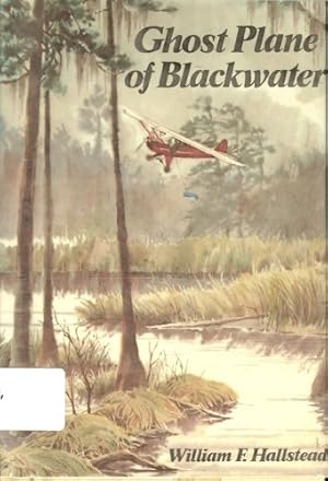 Bild des Verkufers fr Ghostplane of Blackwater zum Verkauf von WeBuyBooks