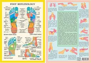 Bild des Verkufers fr Foot Reflexology -- A4 (Hardcover) zum Verkauf von Grand Eagle Retail