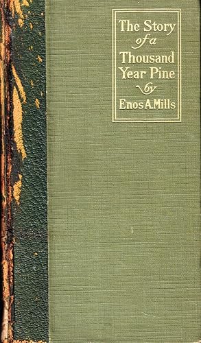 Bild des Verkufers fr The Story of a Thousand Year Pine zum Verkauf von Kenneth Mallory Bookseller ABAA
