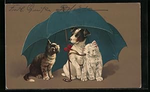 Künstler-Ansichtskarte Hund und Katzen unter einem Regenschirm