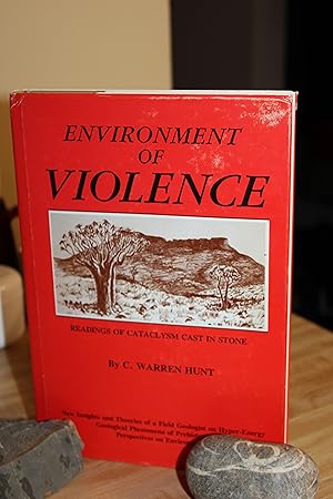 Environment of Violence