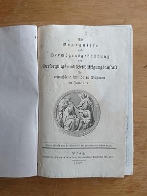 Die Begegnisse und Vermögensgebahrung der Versorgungs- und Beschäftigungsanstalt für erwachsene B...