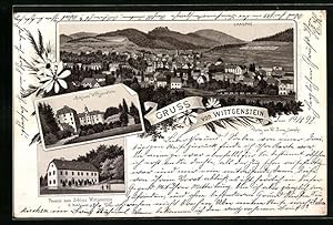 Lithographie Siegen, Ortsansicht, Pension zum Schloss Wittgenstein, Schloss Wittgenstein