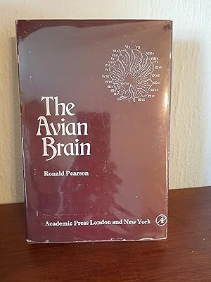 Seller image for The avian brain for sale by Nikki Green Books