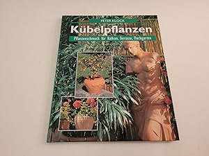 Kübelpflanzen. Pflanzenschmuck für Balkon, Terrasse, Dachgarten.