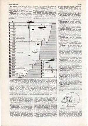 Imagen del vendedor de LAMINA V12468: Profundidades en el mar a la venta por EL BOLETIN