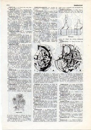 Imagen del vendedor de LAMINA V12371: Embriologia a la venta por EL BOLETIN