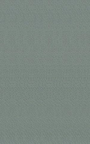 Bild des Verkufers fr Amadis (Newe Historia Vom Amadis auss Franckreich.) : Buch I-VI, Nachdruck der Ausgabe Frankfurt/M., Feyerabend (1569-1572) zum Verkauf von AHA-BUCH GmbH
