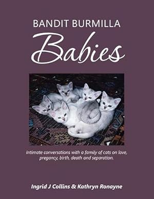 Seller image for Bandit Burmilla Babies: Intimate Conversations with a Family of Cats on Love, Pregancy, Birth, Death and Separation (Paperback) for sale by Grand Eagle Retail