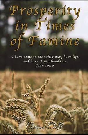 Image du vendeur pour Prosperity in Times of Famine (Paperback) mis en vente par Grand Eagle Retail