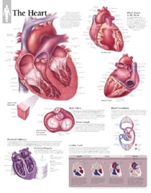 Seller image for Heart Paper Poster (Paperback) for sale by Grand Eagle Retail