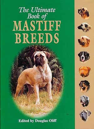 Seller image for THE ULTIMATE BOOK OF MASTIFF BREEDS. Edited by Douglas Oliff. for sale by Coch-y-Bonddu Books Ltd