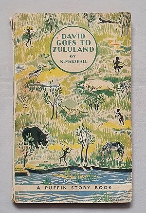 Seller image for David goes to Zululand for sale by Mad Hatter Books