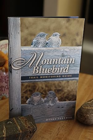 Mountain Bluebird