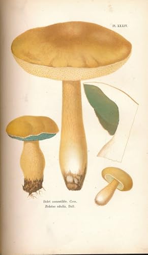 Image du vendeur pour Les champignons. Histoire, description, culture, usages des espces comestiblers, vnneuses, suspectes employes dans les arts, l'industrie, l'conomie domestique, la mdecine mis en vente par LIBRAIRIE GIL-ARTGIL SARL