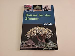 Bonsai für das Zimmer.