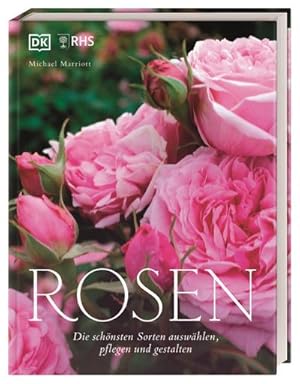 Seller image for Rosen for sale by Rheinberg-Buch Andreas Meier eK