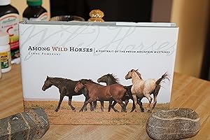Among Wild Horses